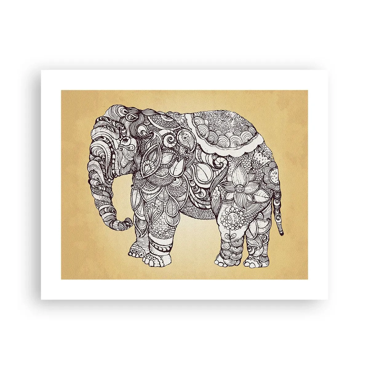Poster - Elefant verhüllte sich - 50x40 cm