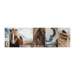 Fototapeten Muster Premium Sand - Spürst du die Freiheit? - Pferd, Natur, Tiere - 100x30 cm