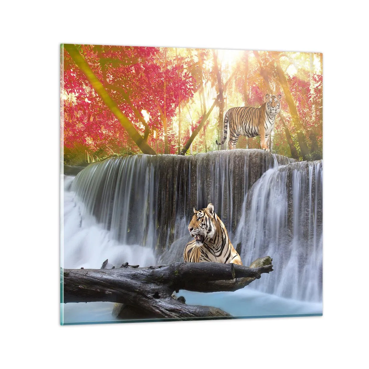 Glasbild - Bild auf glas - Surreale Landschaft - 40x40 cm