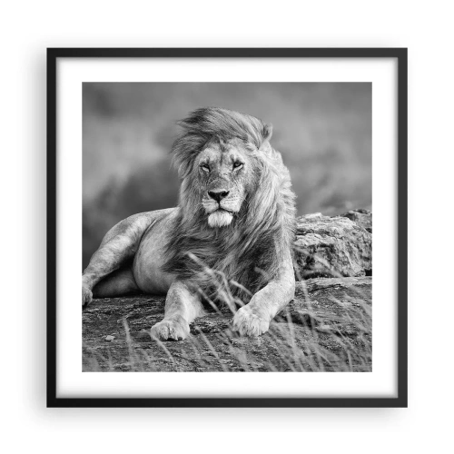 Poster in einem schwarzem Rahmen - Königliche Siesta - 50x50 cm
