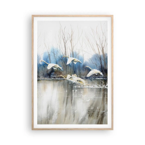 Poster in einem Rahmen aus heller Eiche - Wie im Märchen von den wilden Schwänen - 70x100 cm