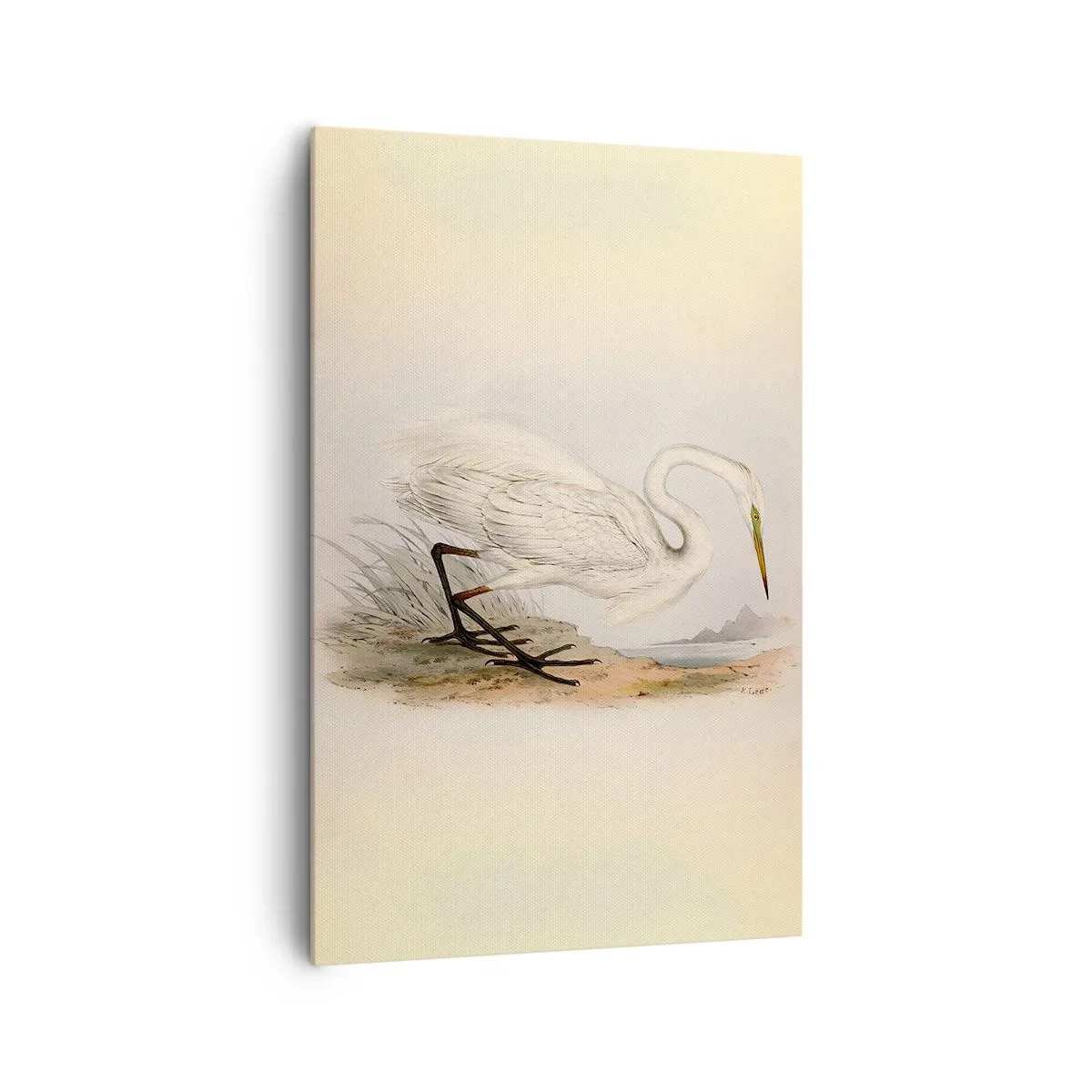 Bild auf Leinwand - Leinwandbild - Zeichnung eines weißen Reihers vor einem natürlichen Landschaftshintergrund - 80x120cm - Dame auf den Binsen - Moderne Wanddekoration für Wohnzimmer und Schlafzimmer ARTTOR
