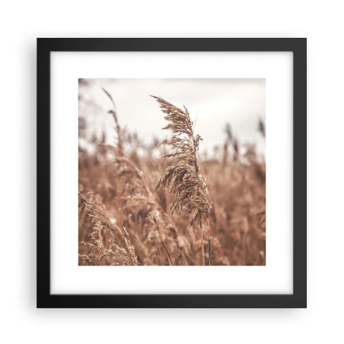 Poster in einem schwarzem Rahmen - Auf den Feldern ist es schon Herbst - 30x30 cm
