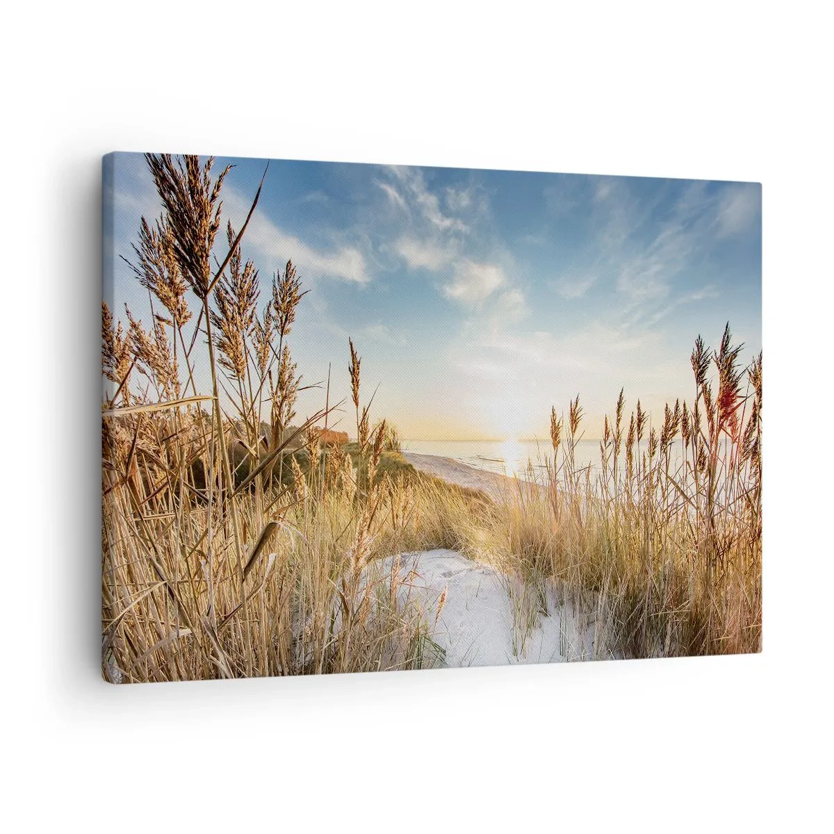 Bild auf Leinwand - Leinwandbild - Ein malerischer Strand mit Gras und untergehender Sonne - 70x50cm - Nordstrand - Moderne Wanddekoration für Wohnzimmer und Schlafzimmer ARTTOR