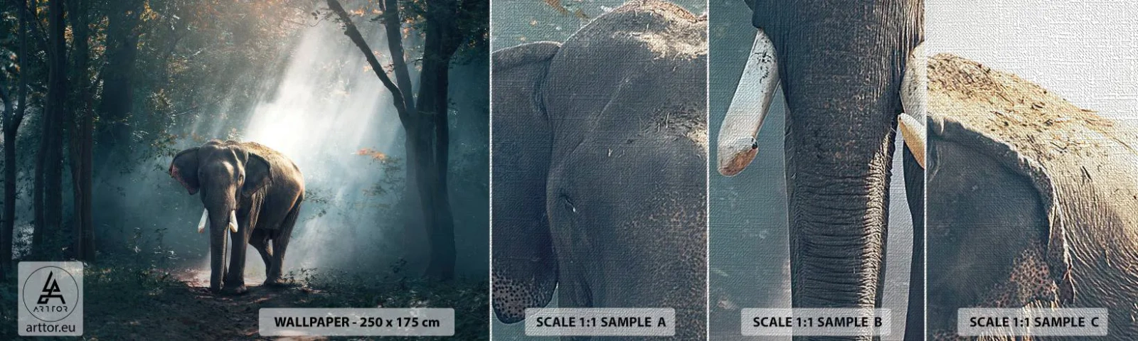 Fototapeten Muster Premium Canvas - Ein gemütlicher Spaziergang - Tiere, Elefant, Dschungel - 100x30 cm