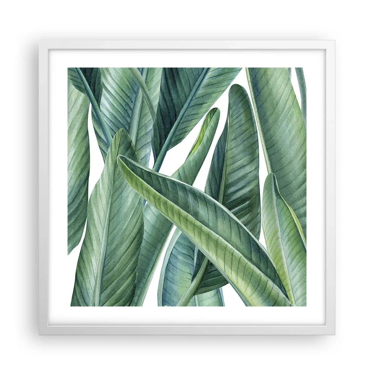 Poster in einem weißen Rahmen - An und für sich Grün - 50x50 cm