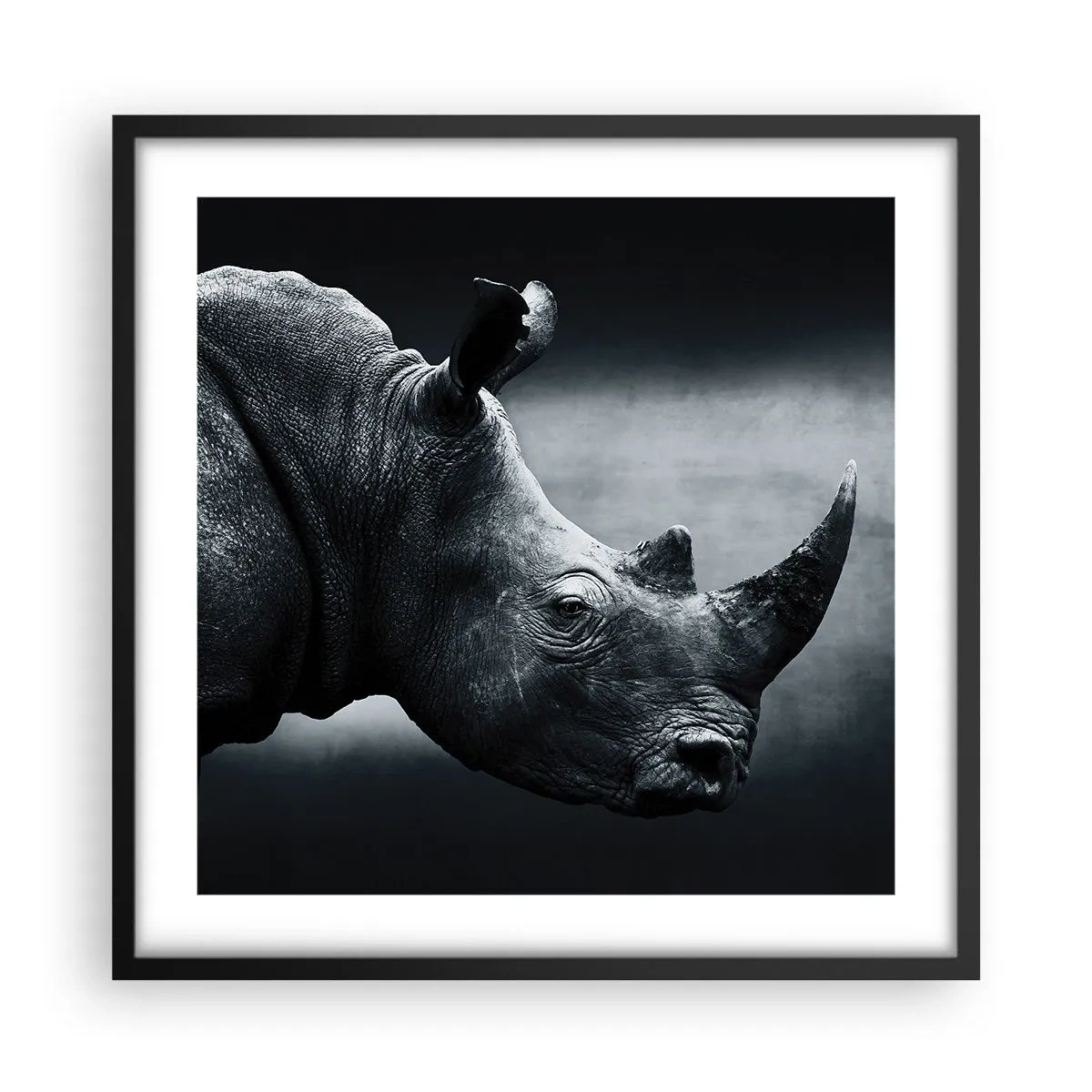 Poster in einem schwarzem Rahmen - Richtiges Profil - 50x50 cm