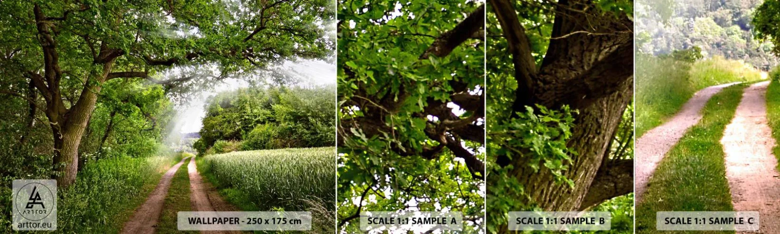 Fototapetenmuster Standard Eco - Et in Arcadia ego - Landschaft, Schotterstraße, Natur - 100x30 cm