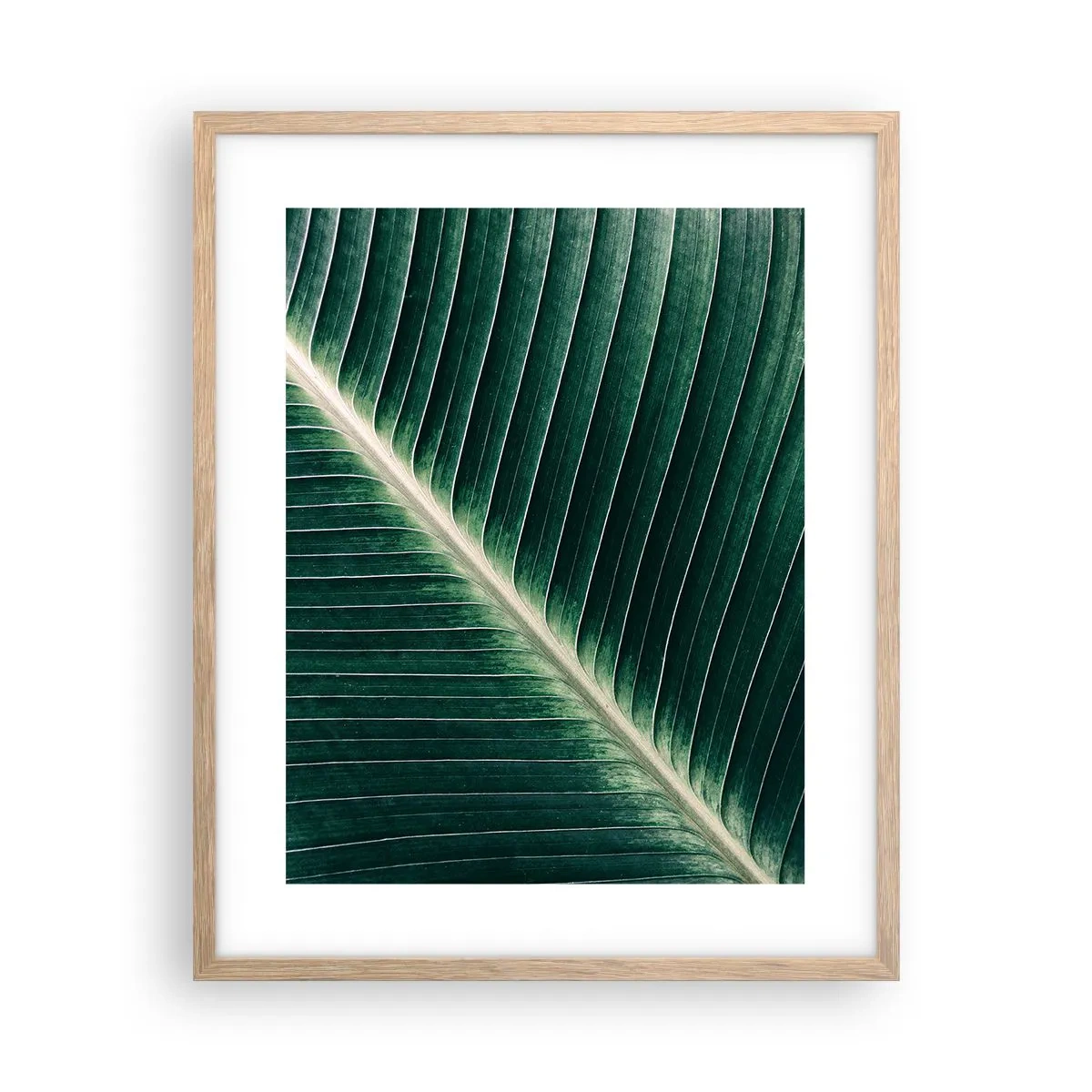 Poster in einem Rahmen aus heller Eiche - Rhythmus der Natur - 40x50 cm