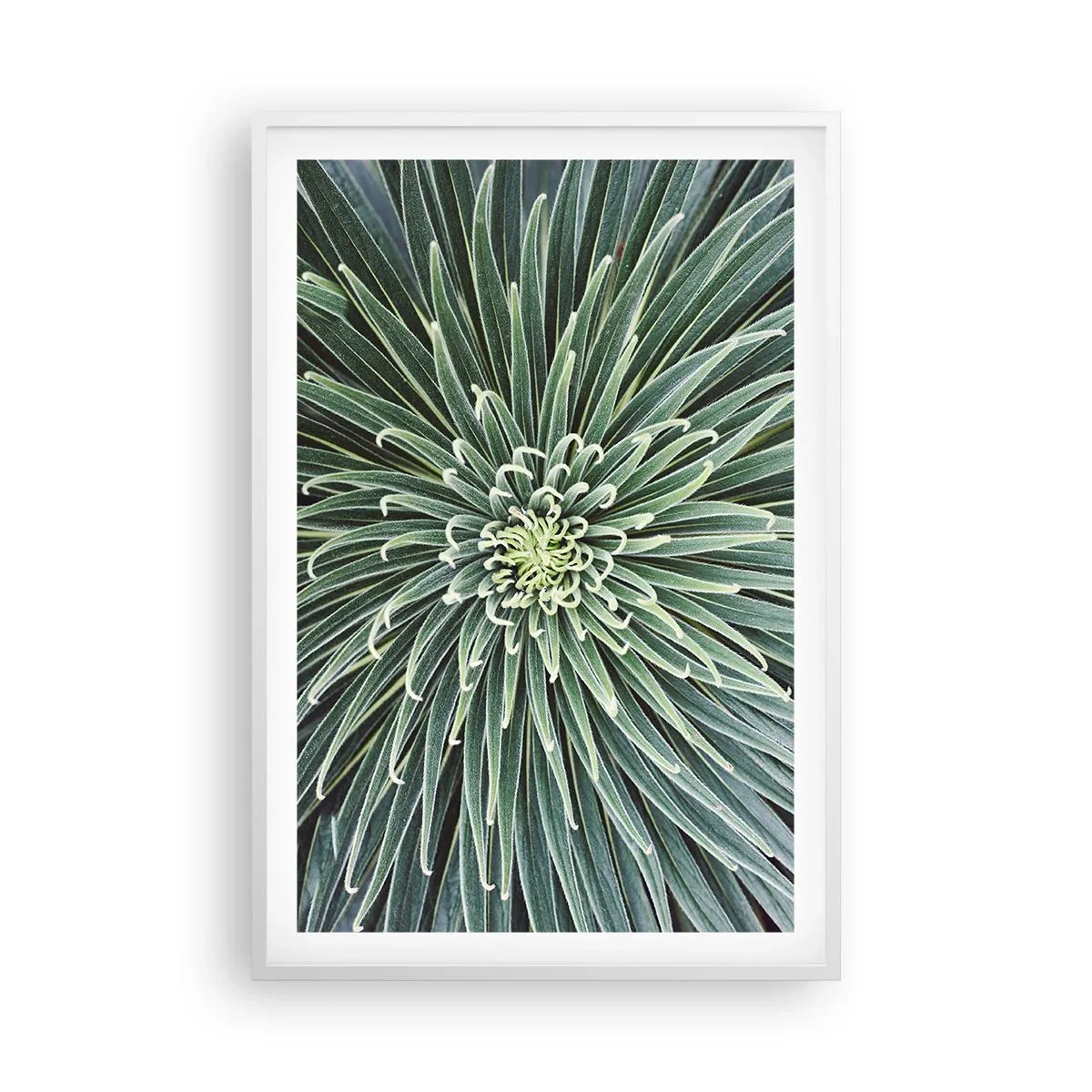 Poster in einem weißen Rahmen - Ein Star ist geboren - 61x91 cm