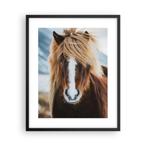 Poster in einem schwarzem Rahmen - Spürst du die Freiheit? - 40x50 cm