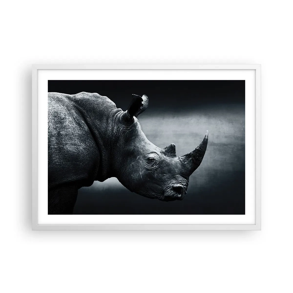 Poster in einem weißen Rahmen - Richtiges Profil - 70x50 cm