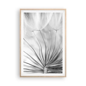 Poster in einem Rahmen aus heller Eiche - Löwenzahn, Drachen - 61x91 cm