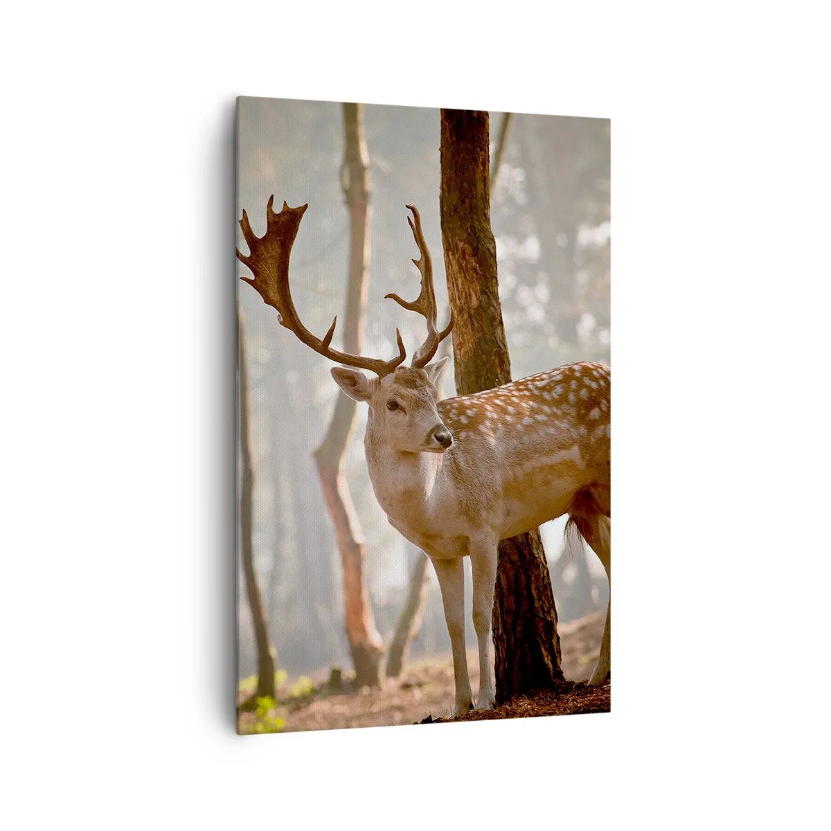 Bild auf Leinwand - Leinwandbild - Hirsche im Wald im Morgennebel - 80x120cm - Das Licht der Jugend - Moderne Wanddekoration für Wohnzimmer und Schlafzimmer ARTTOR