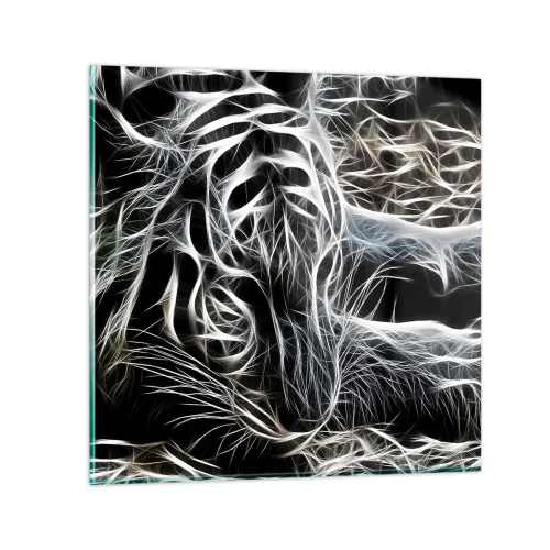 Glasbild - Bild auf glas - Eine Studie über die Leichtigkeit der Katze - 50x50 cm