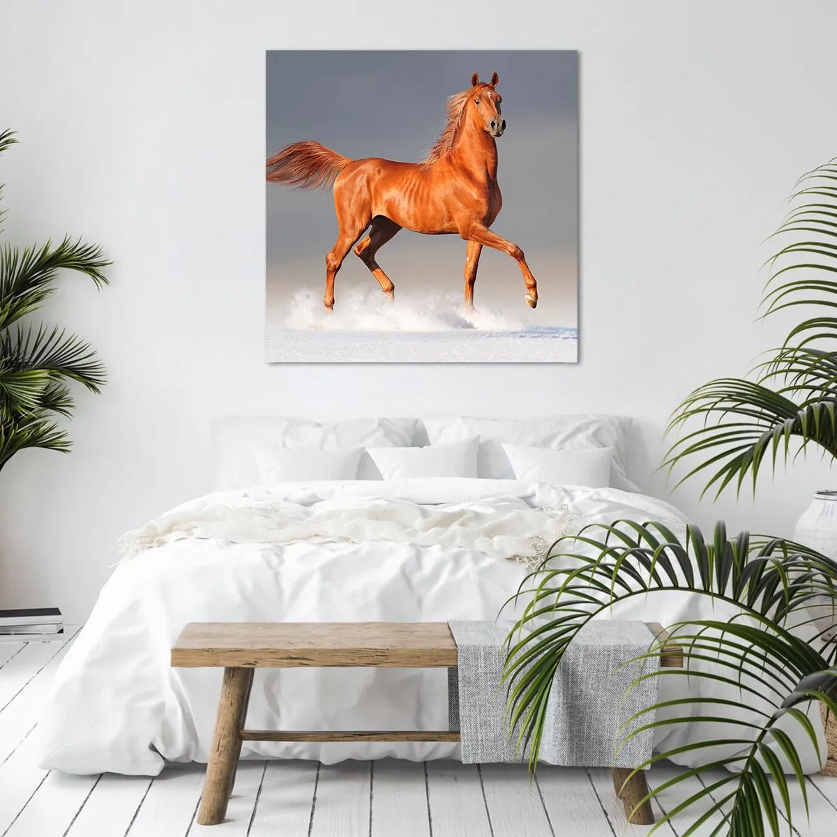 Bild auf Leinwand - Leinwandbild - Tanzende Anmut - 40x40 cm