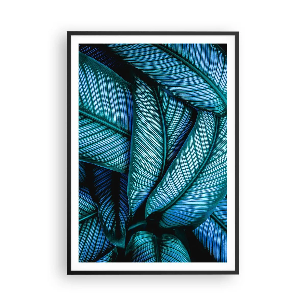 Poster in einem schwarzem Rahmen - Lebenslinien - 70x100 cm