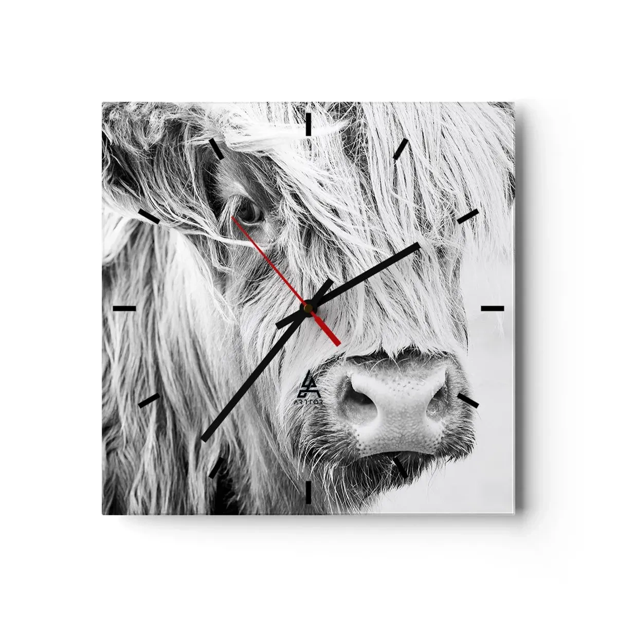 Wanduhr - Glasuhr - Porträt einer schottischen Kuh in Schwarz und Weiß - 30x30cm - Schottische Wildheit - Moderne Wanddekoration für Wohnzimmer und Schlafzimmer ARTTOR