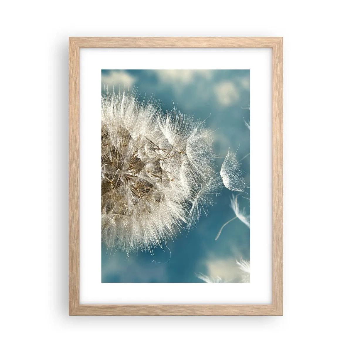 Poster in einem Rahmen aus heller Eiche - Engelsatem - 30x40 cm