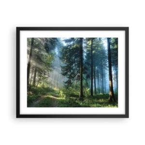 Poster in einem schwarzem Rahmen - Strahlend am Morgen - 50x40 cm