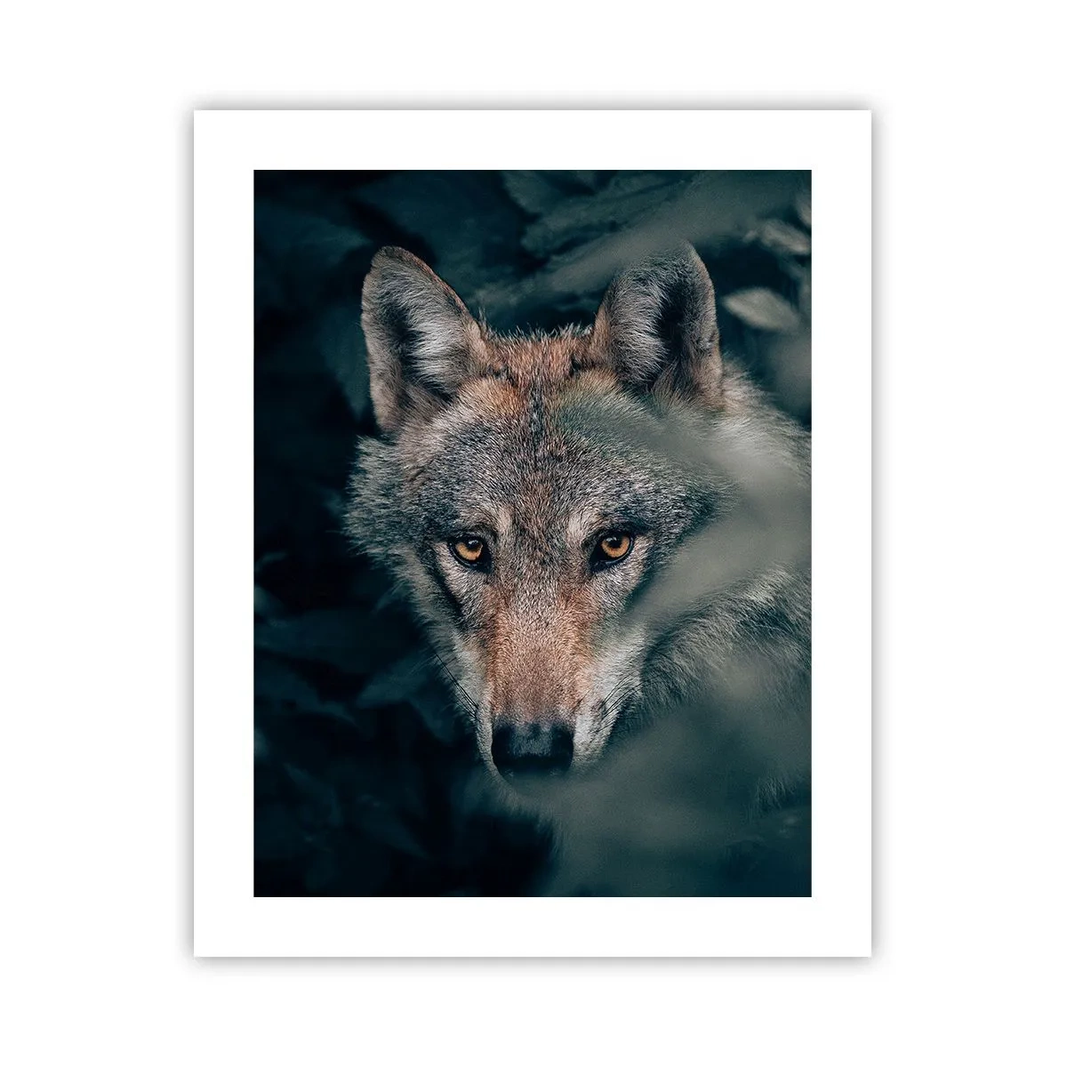 Poster - Jäger - 40x50 cm