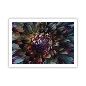 Poster - Die Blütezeit der Jugend - 70x50 cm