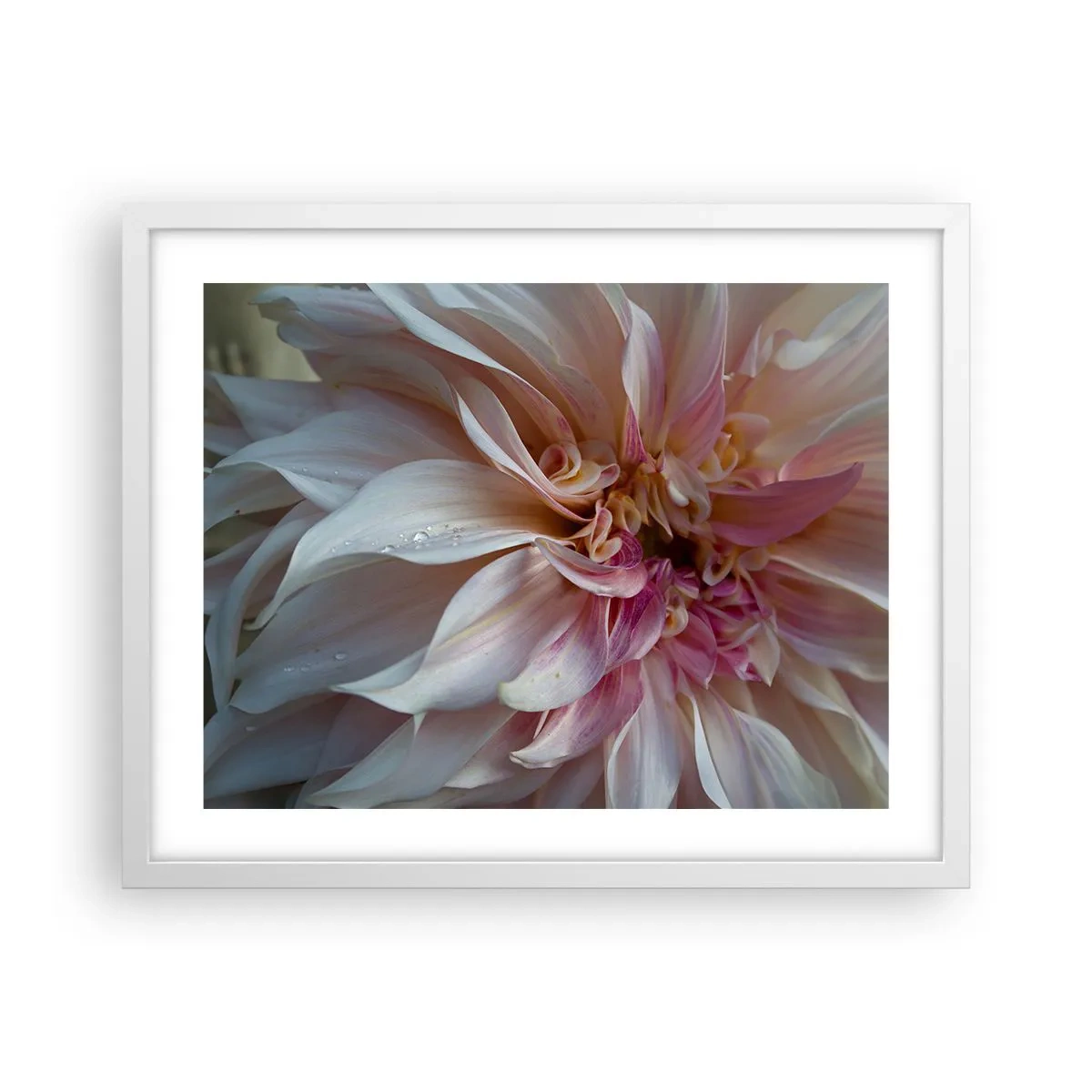 Poster in einem weißen Rahmen - Blühende Frische - 50x40 cm