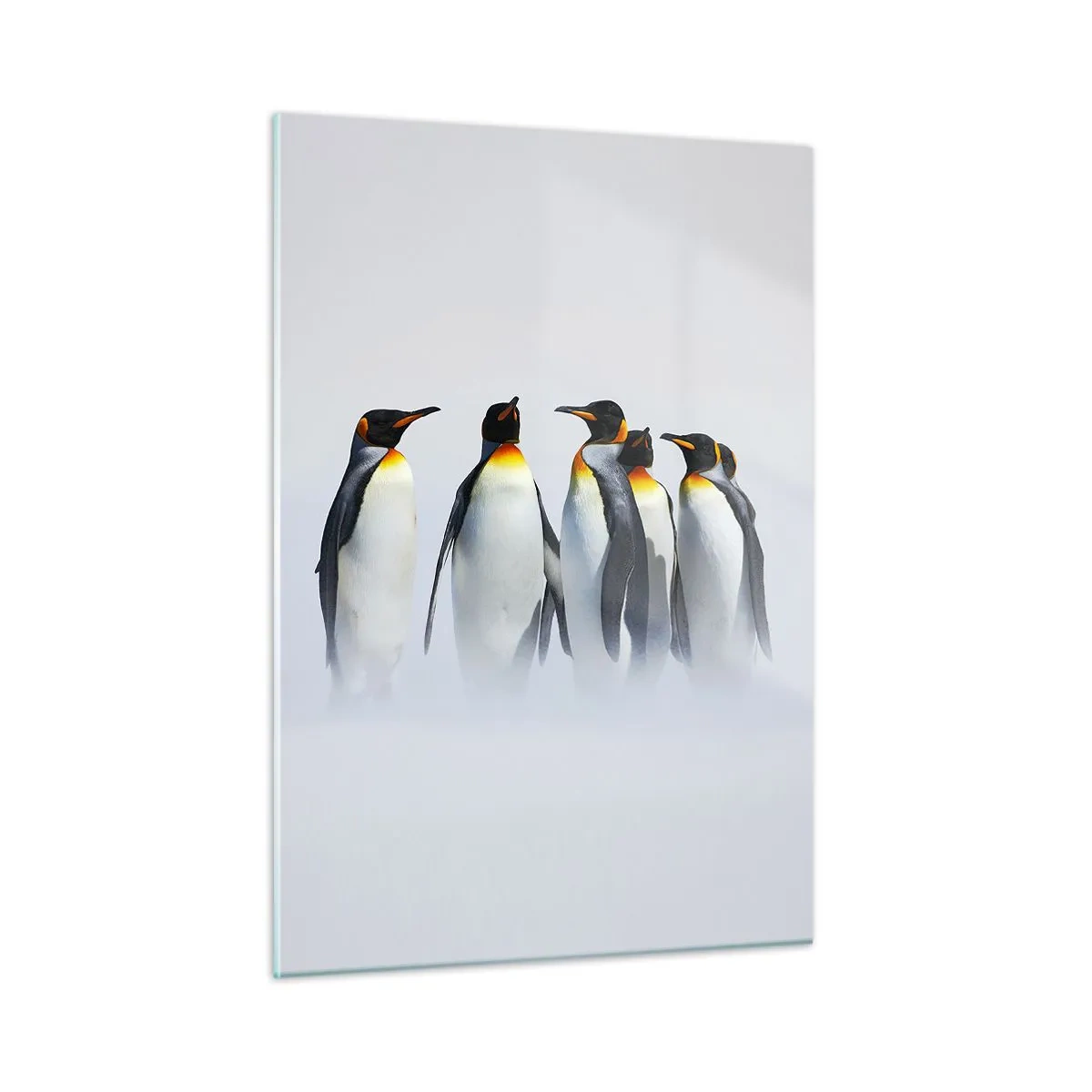 Glasbild - Bild auf glas - Eine Gruppe Pinguine in einer Winterlandschaft - 50x70cm - Treffen in Abendkleidern - Moderne Wanddekoration für Wohnzimmer und Schlafzimmer ARTTOR