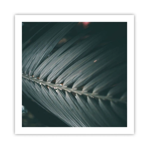 Poster - Die Präzision der Natur - 60x60 cm