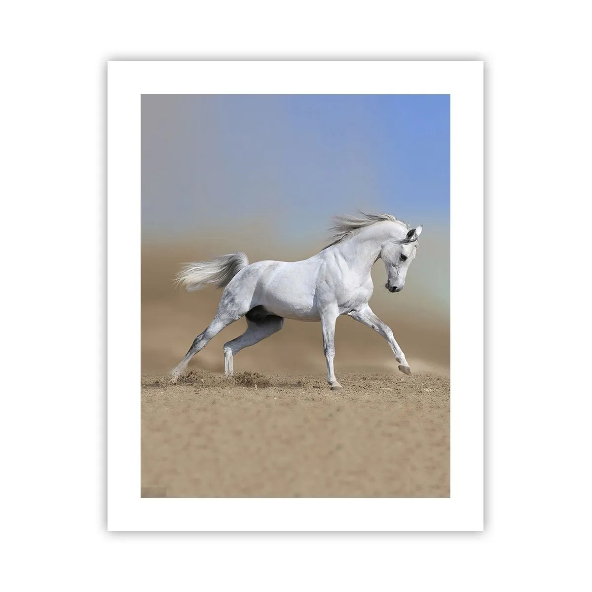 Poster - Die schönste arabische Sage - 40x50 cm