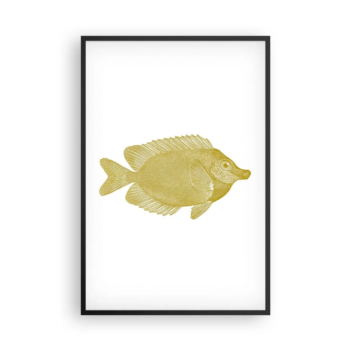 Poster in einem schwarzem Rahmen - Fisch und das war’s - 61x91 cm