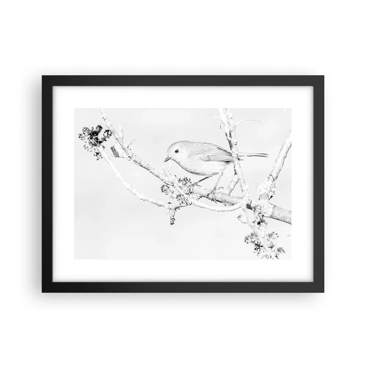 Poster in einem schwarzem Rahmen - Wintermorgen - 40x30 cm