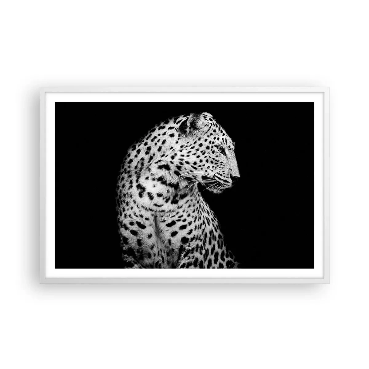 Poster in einem weißen Rahmen - Rechtes Profil perfekt! - 91x61 cm