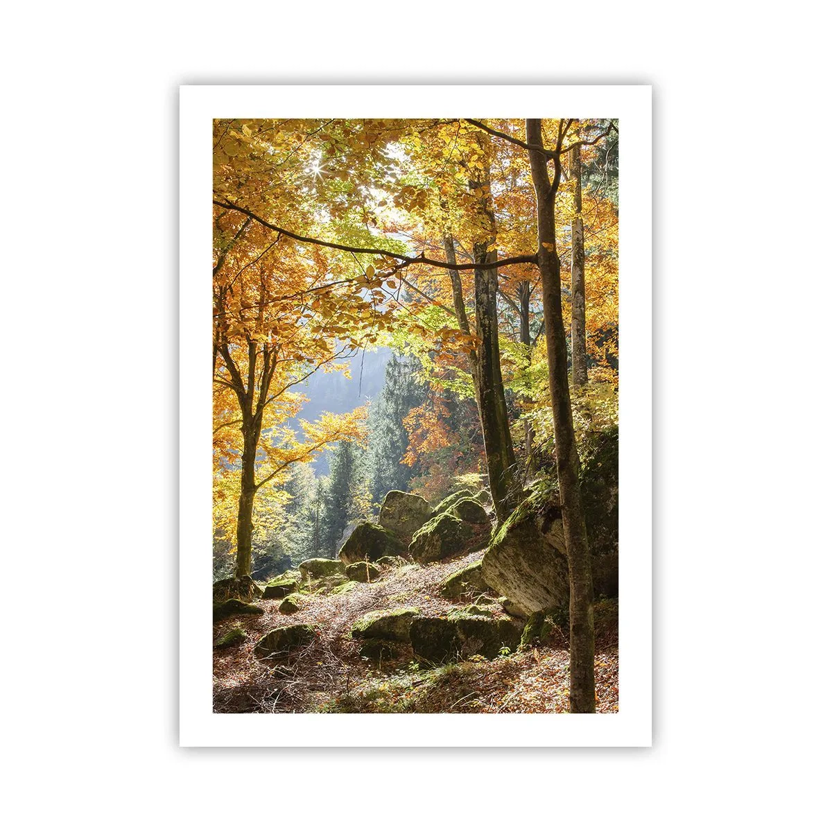 Poster - Herbstwald mit Sonnenstrahlen und moosbedeckten Steinen - 50x70cm - Zeit zum Entspannen - Moderne Wanddekoration für Wohnzimmer und Schlafzimmer ARTTOR