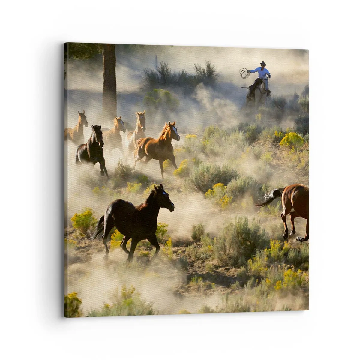 Bild auf Leinwand - Leinwandbild - Rivalität – Freiheit oder männliche Stärke? - 70x70 cm