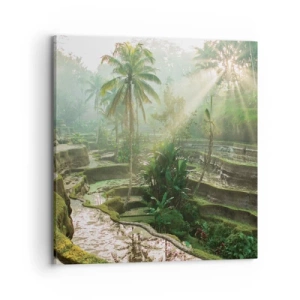 Bild auf Leinwand - Leinwandbild - In der Sonne aufwachsen - 70x70 cm