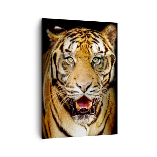 Bild auf Leinwand - Leinwandbild - Ein Tiger mit offenem Maul auf schwarzem Hintergrund - 50x70cm - Wild im Herzen - Moderne Wanddekoration für Wohnzimmer und Schlafzimmer ARTTOR