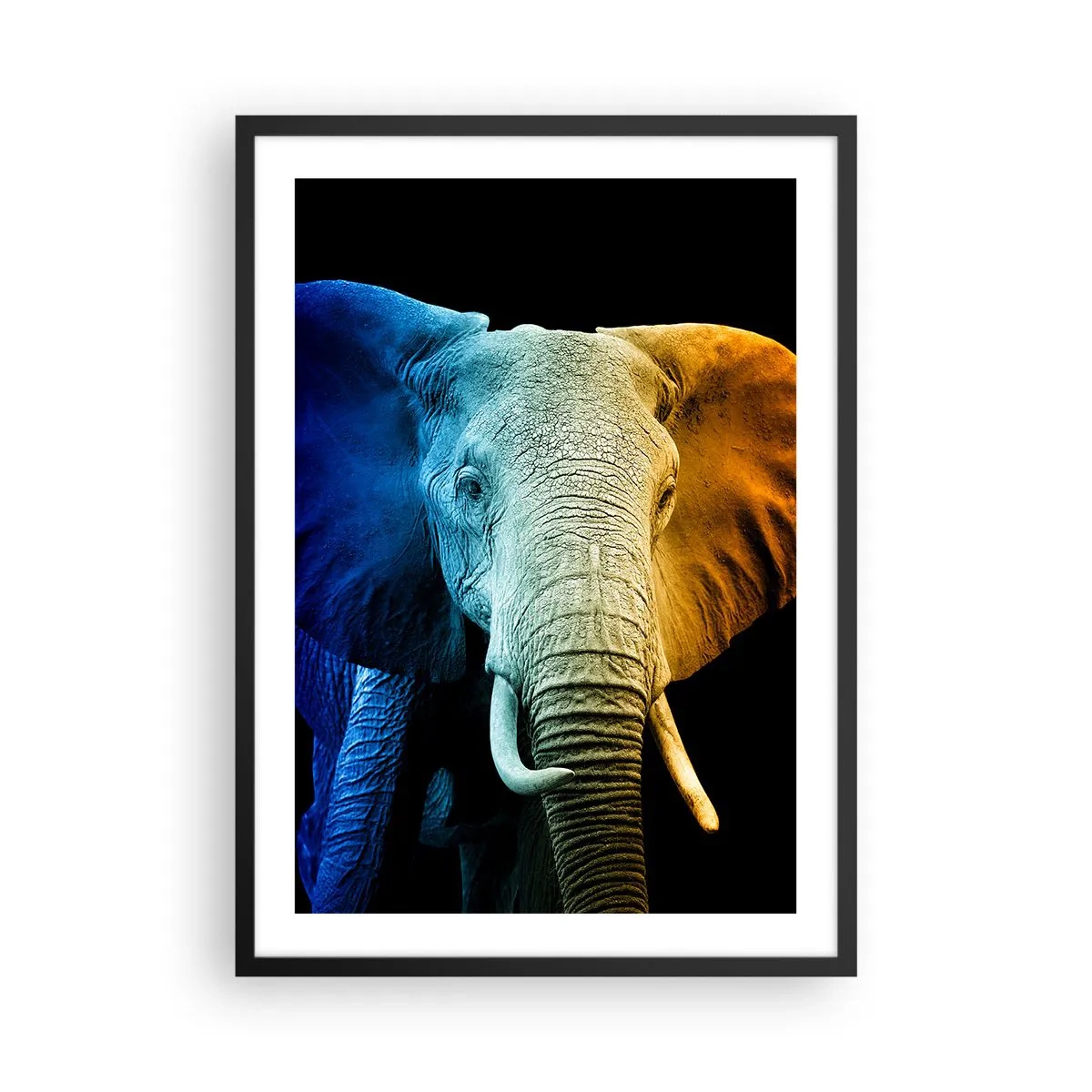 Poster in einem schwarzem Rahmen - Ein buntes Bild eines Elefanten auf schwarzem Hintergrund - 50x70cm - Exzentrisch, kein Verrückter - Moderne Wanddekoration für Wohnzimmer und Schlafzimmer ARTTOR
