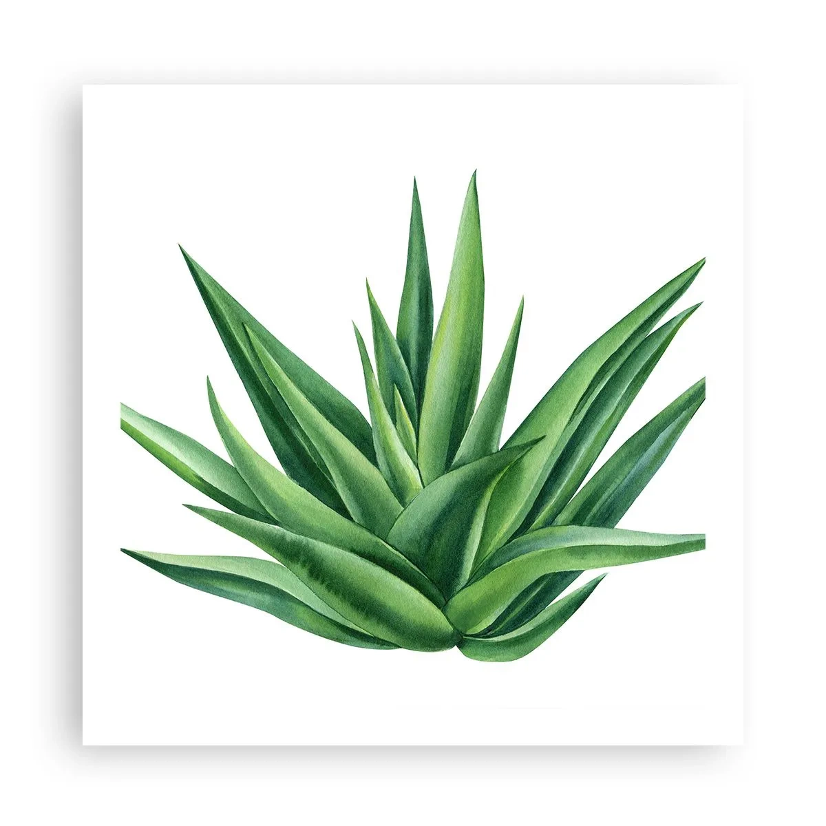 Poster - Grün – Kraft – Leben - 60x60 cm