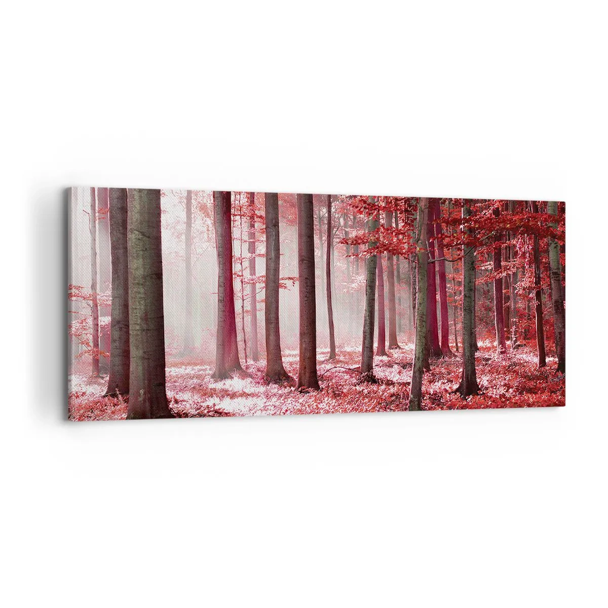 Bild auf Leinwand - Leinwandbild - Rot ist genauso schön - 100x40 cm
