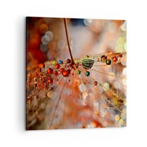 Bild auf Leinwand - Leinwandbild - Auf einem Spinnenfaden aufgefädelt - 50x50 cm