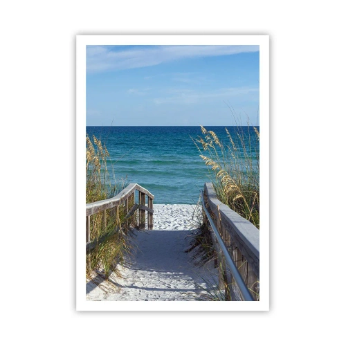 Poster - In der Sonne, im Wind - 70x100 cm