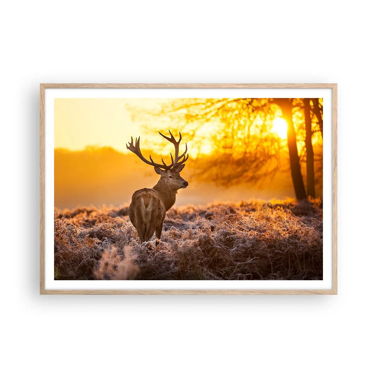 Poster in einem Rahmen aus heller Eiche - König des Herbstwaldes - 100x70 cm
