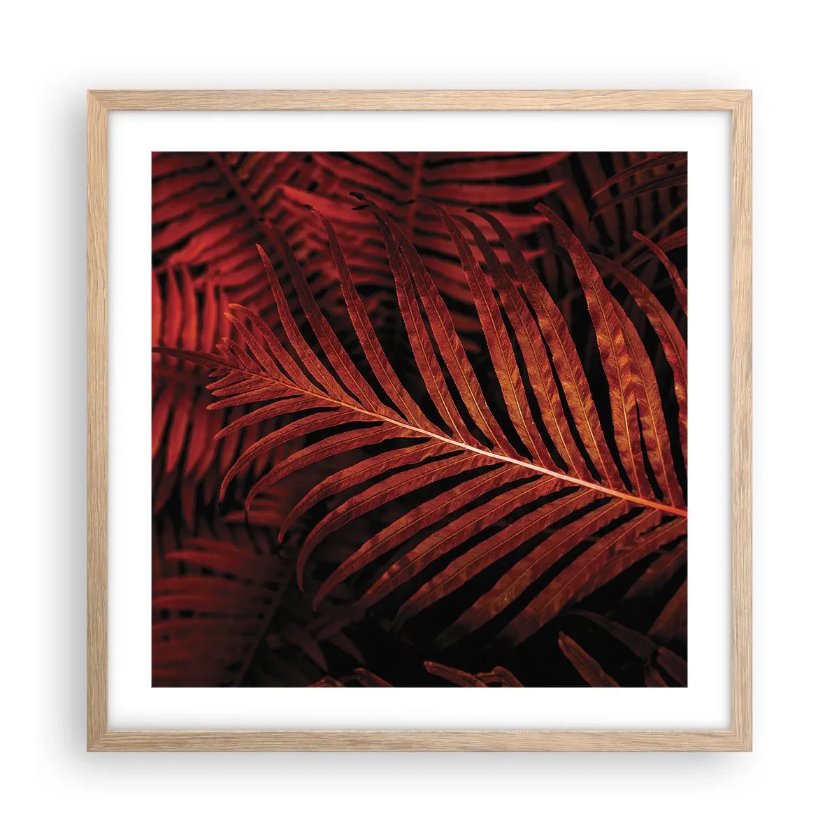 Poster in einem Rahmen aus heller Eiche - Die Hitze des Lebens - 50x50 cm