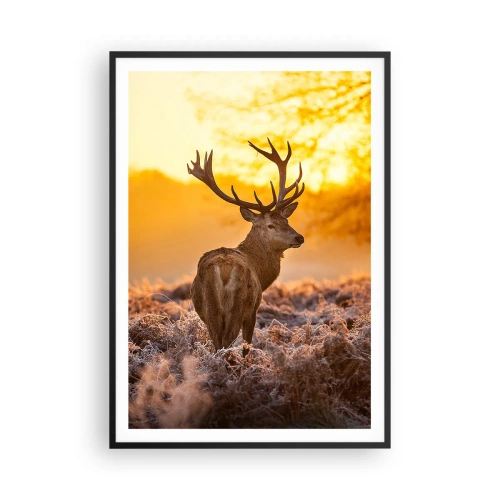 Poster in einem schwarzem Rahmen - König des Herbstwaldes - 70x100 cm