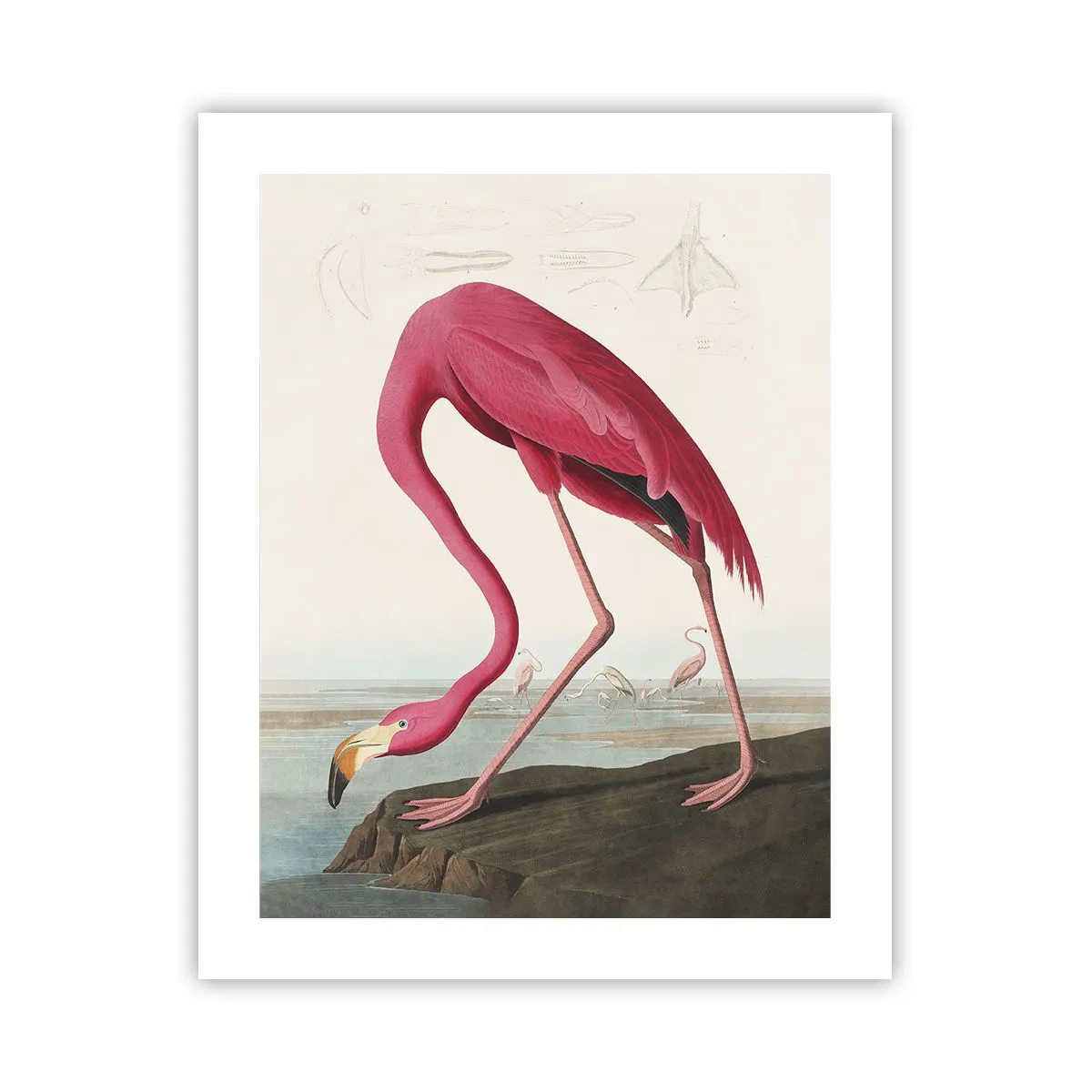 Poster - Erstaunliche Kreation - 40x50 cm