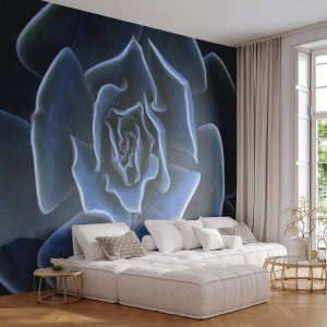 Fototapete Premium Sand - Nahaufnahme der Blätter einer kühl getönten Sukkulente - 100x70cm - Wüstenblume - Moderne Wanddekoration für Wohnzimmer und Schlafzimmer ARTTOR