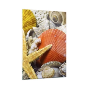 Glasbild - Bild auf glas - Bunte Muscheln und Seesterne in einer Meereskomposition - 50x70cm - Schätze des Ozeans - Moderne Wanddekoration für Wohnzimmer und Schlafzimmer ARTTOR