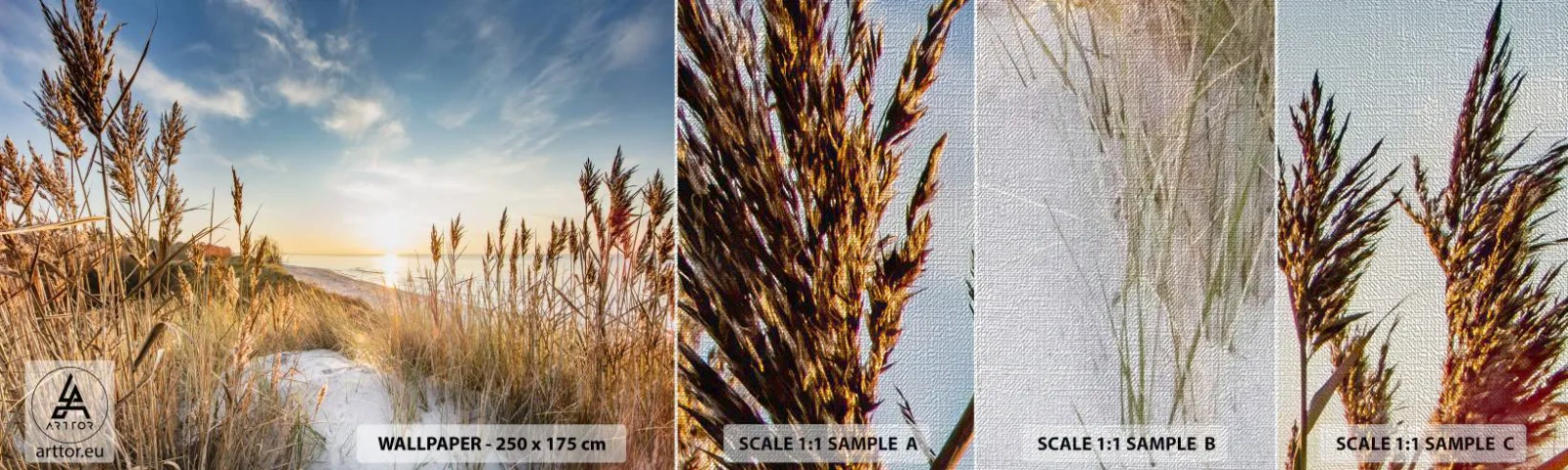 Fototapeten Muster Premium Canvas - Nordstrand - Landschaft, Meer, Strand - 100x30 cm