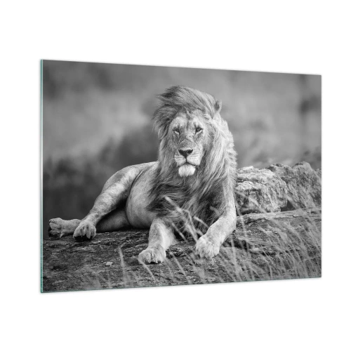 Glasbild - Bild auf glas - Ein Löwe ruht auf einem Felsen in einer monochromen Landschaft. - 100x70cm - Königliche Siesta - Moderne Wanddekoration für Wohnzimmer und Schlafzimmer ARTTOR